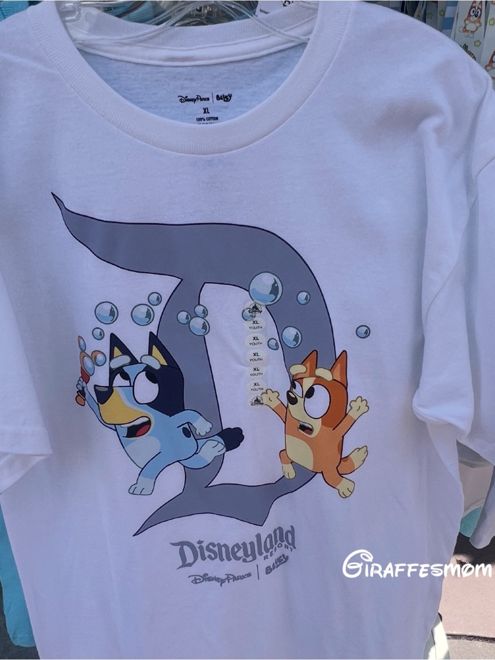 Disneyland Bluey & Bingo White Graphic Youth T-Shirt